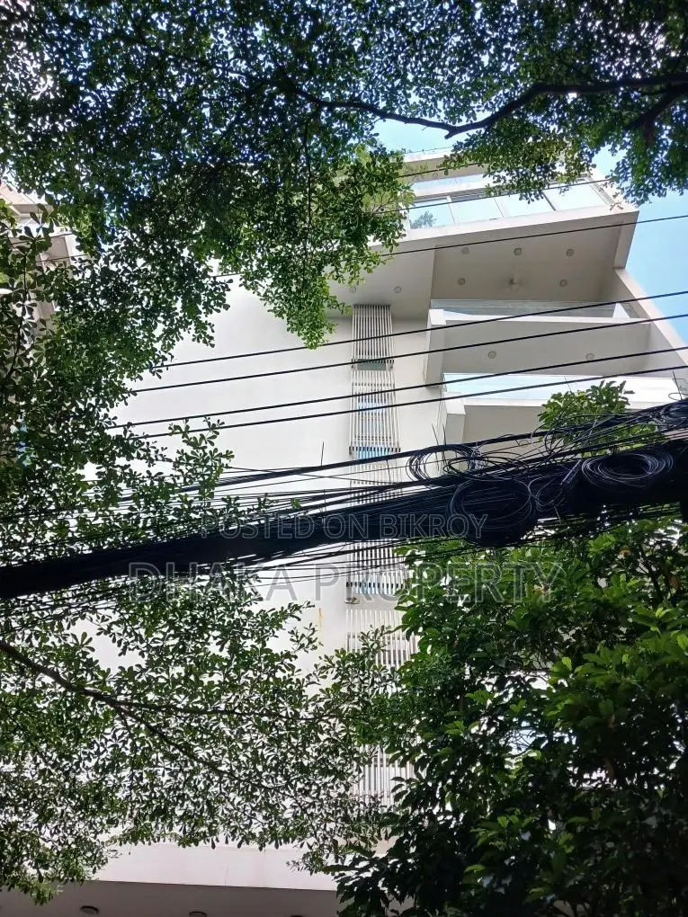 বারিধারা ডিপ্লোম্যাটিক জোনে ৪০০০ বর্গফুটের সেমি-ফার্নিশড বিলাসবহুল অ্যাপার্টমেন্ট ভাড়া হবে