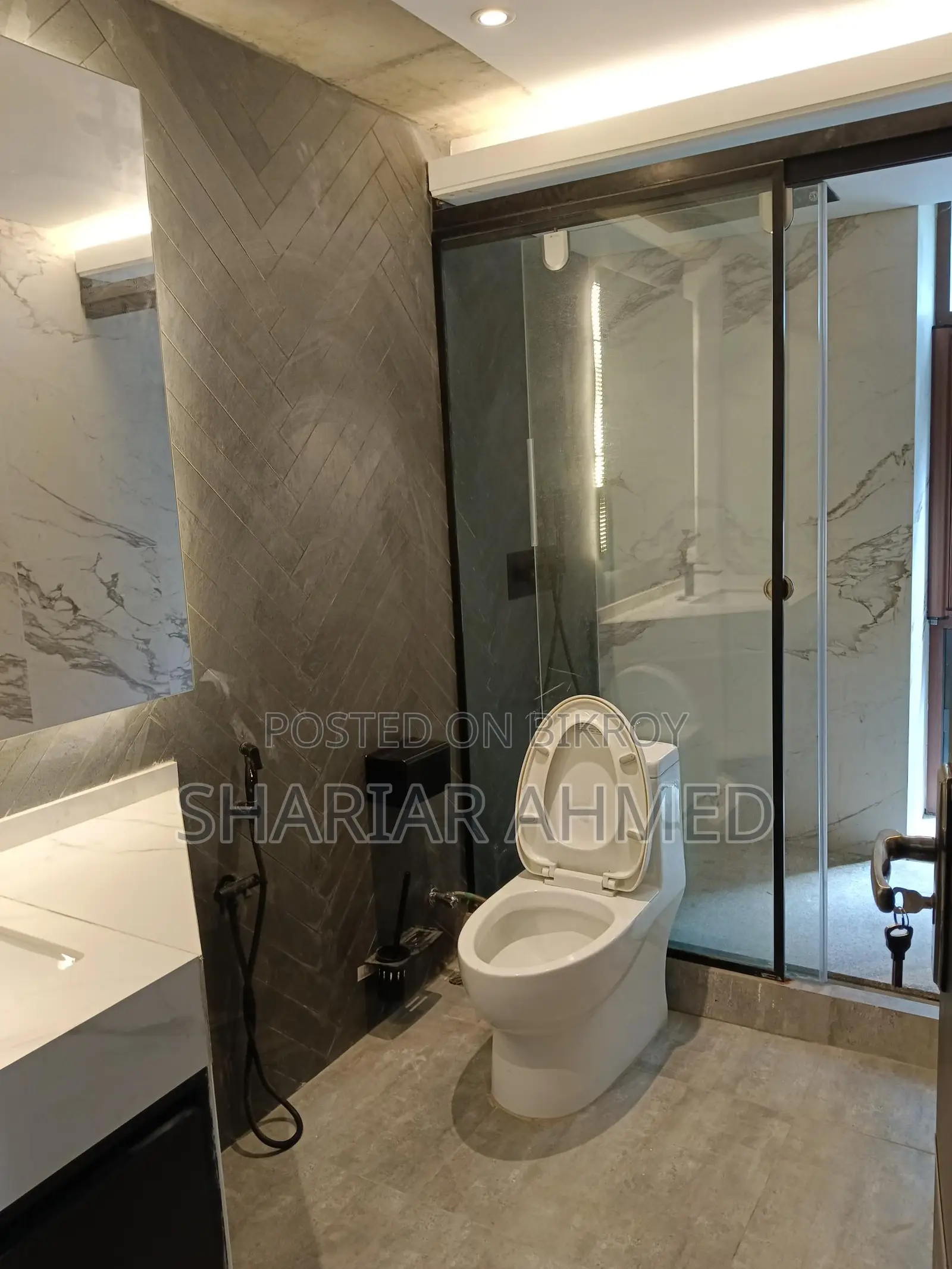 Luxury 5000 Sqft Semi-furnished Apartment For Rent In Gulshan 2