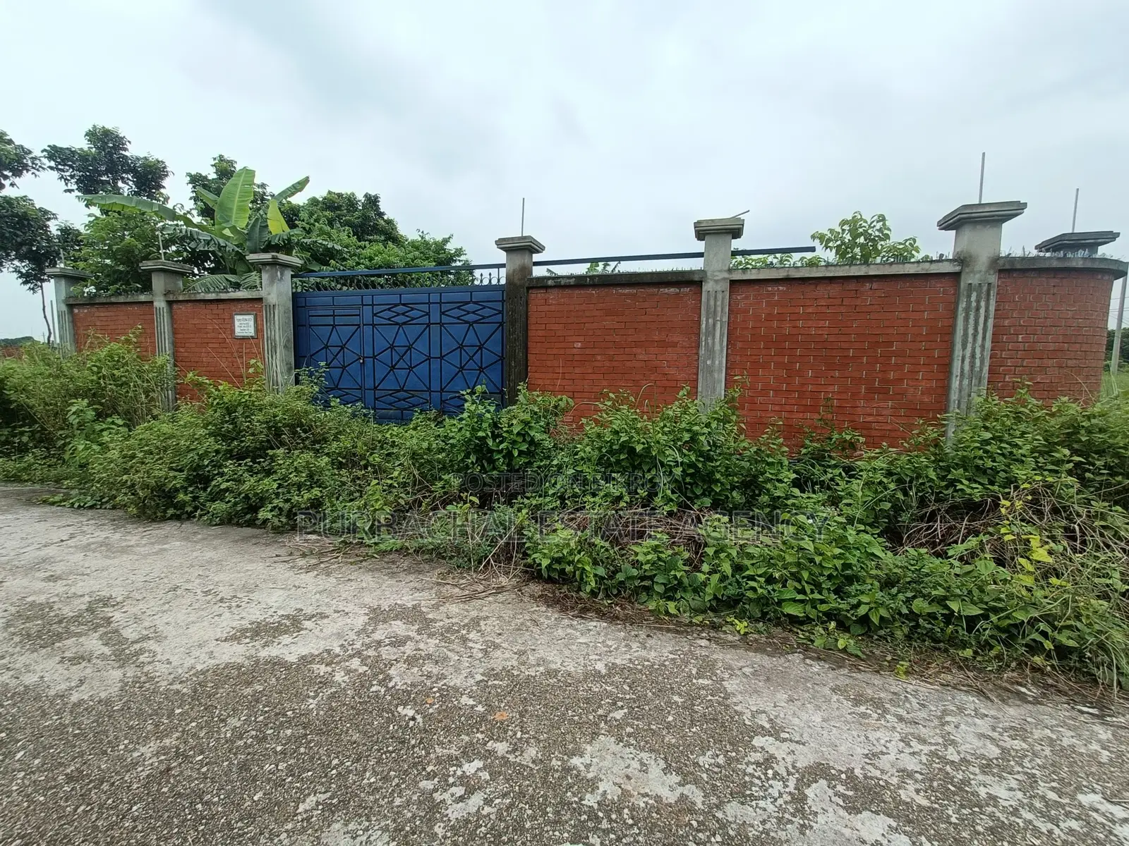 ১০০ ফুটের কাছে, সেক্টর ২০-এ ৩ কাঠার প্লট