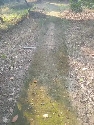 আফতাবনগর এম ব্লকে ৩ কাঠা জমি বিক্রি হবে