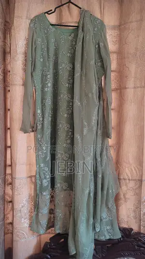 Pakistani Chiffon Dress