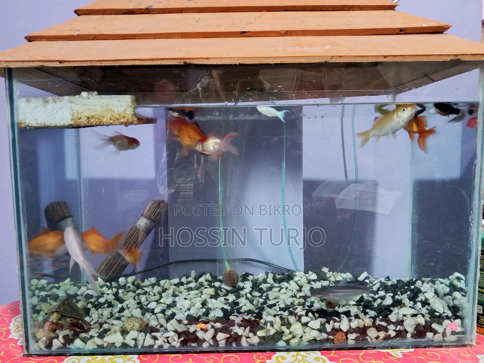 Aquarium for Sale