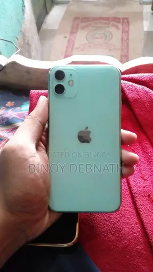 Apple iPhone 11 Green (Used)