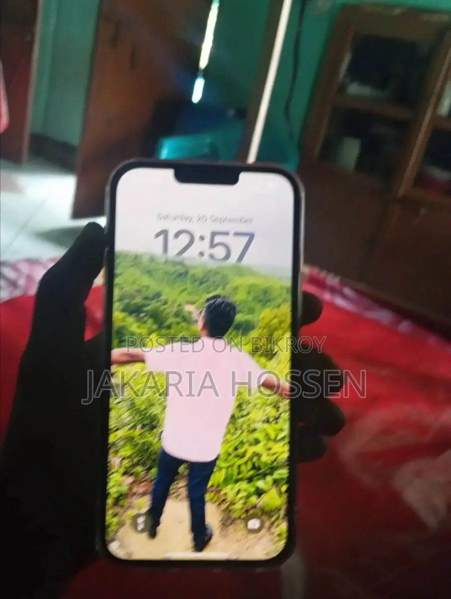 Apple iPhone 13 Pro Max (Used)