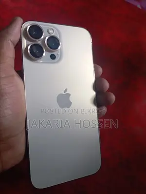 Apple iPhone 13 Pro Max (Used)