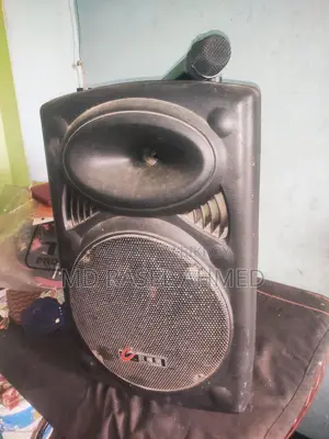 12" সাইজের ভালো স্পিকার।