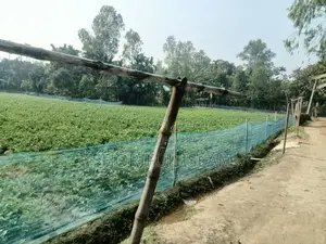 53 Decimal Land for Sale