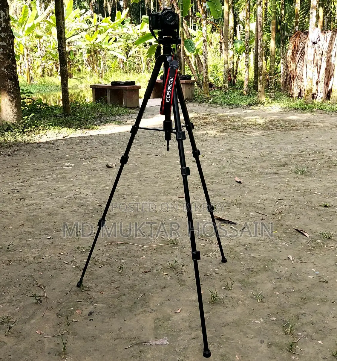Canon 200d Dslr + 85mm Prime Lens