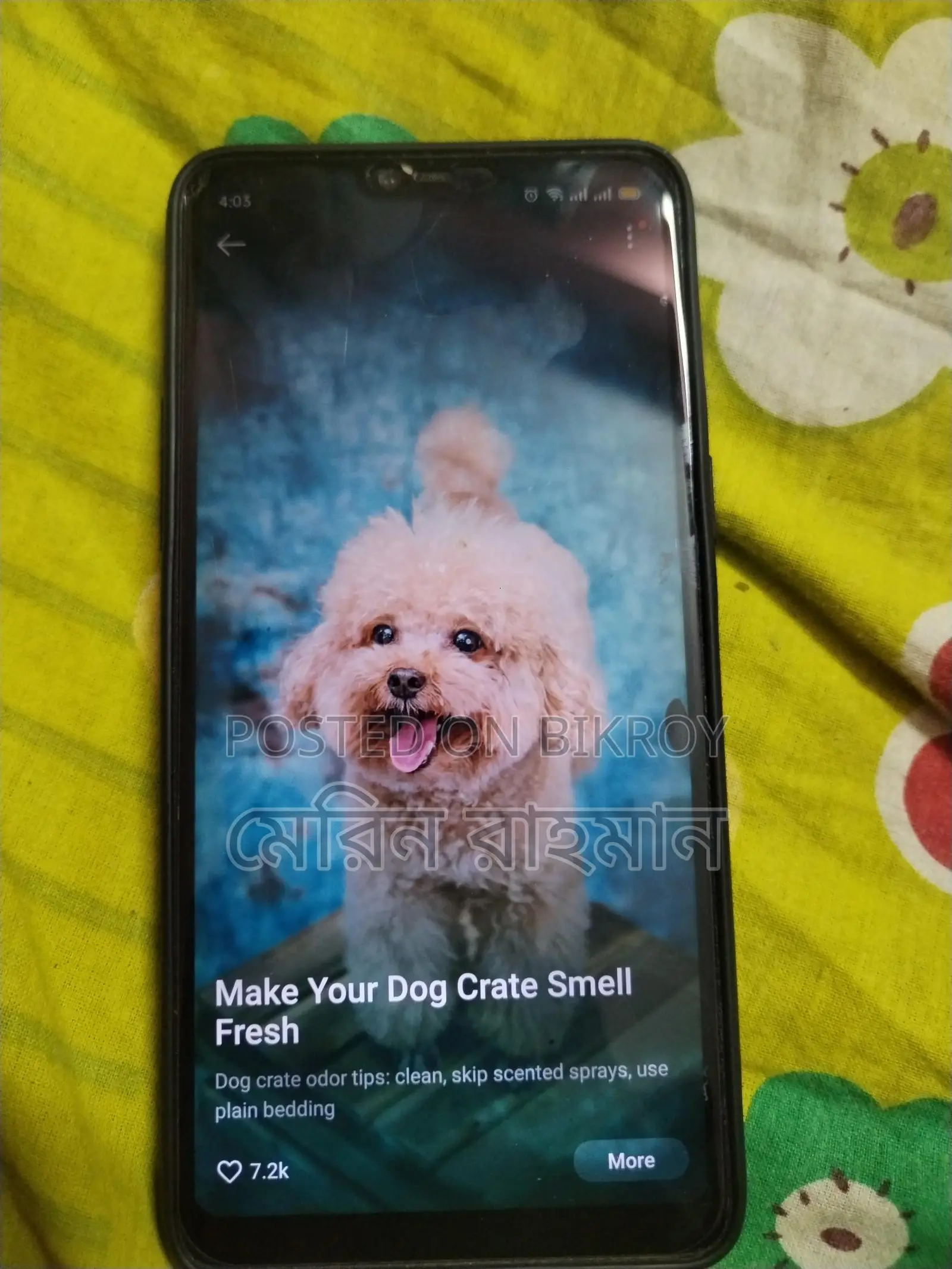 OPPO F7 (Used)