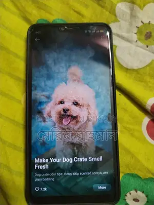 OPPO F7 (Used)