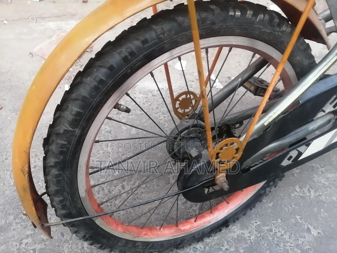 Phoenix Bicycle for Sale
