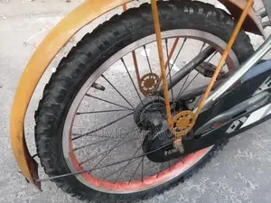 Phoenix Bicycle for Sale