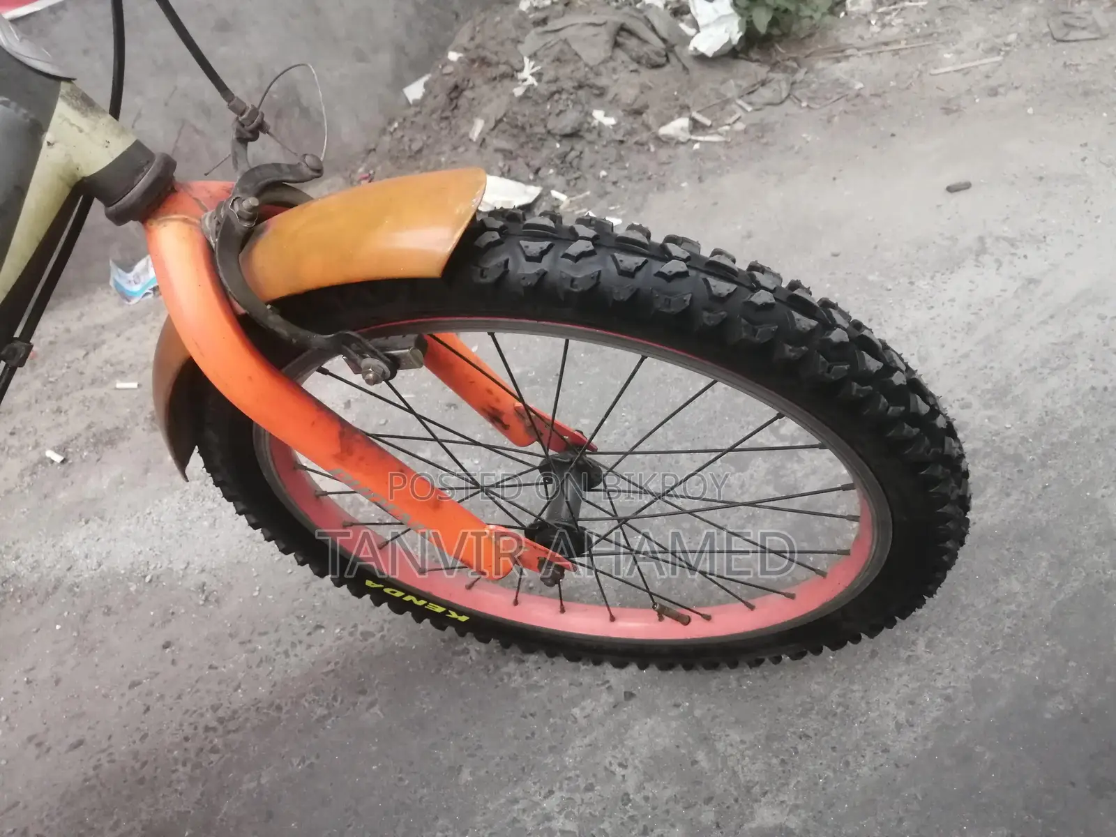 Phoenix Bicycle for Sale