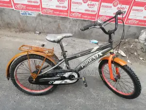 Phoenix Bicycle for Sale
