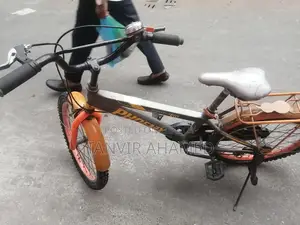 Phoenix Bicycle for Sale