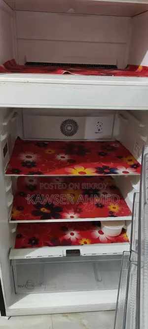 Singer Non-Frost Fridge