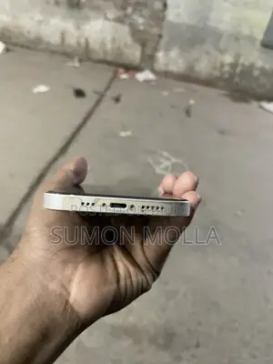 Apple iPhone 12 (Used)