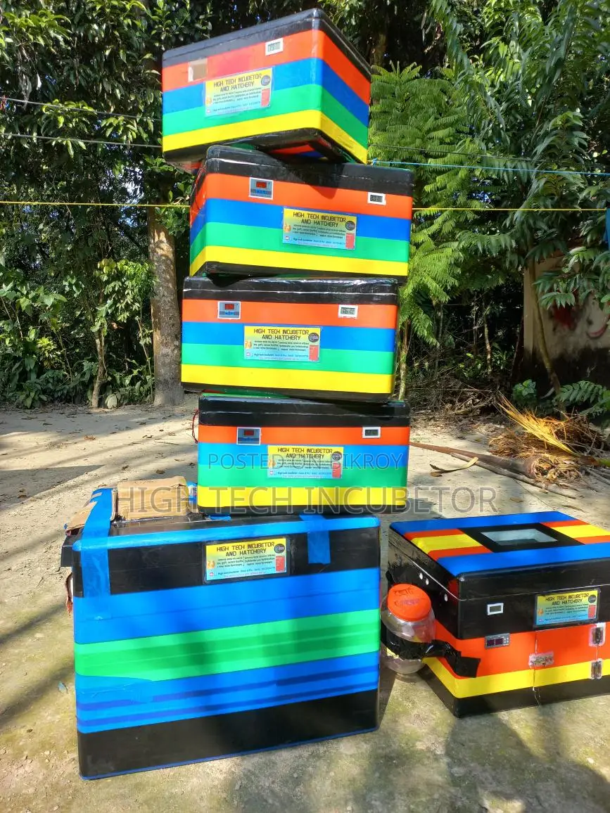 ডিম ফুটানো মেশিন