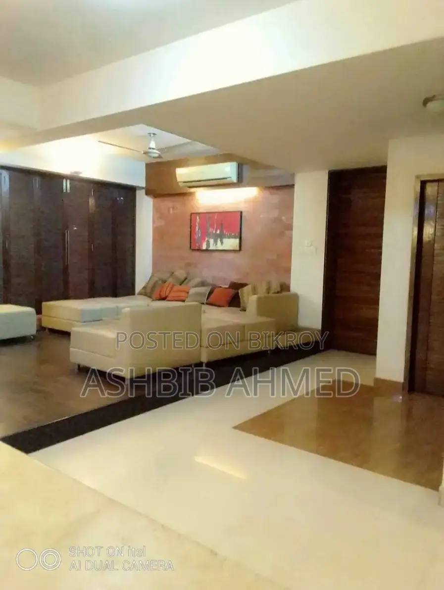 3850 Sqft Full Furnished Flat For Rent in Bashundhara R/a