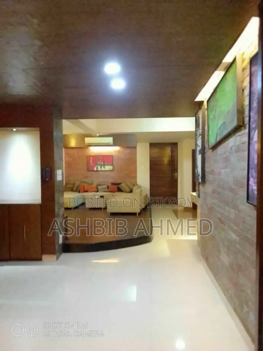 3850 Sqft Full Furnished Flat For Rent in Bashundhara R/a