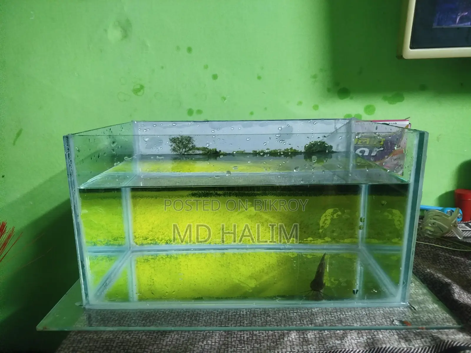 মাছের একুরিয়াম বিক্রয়