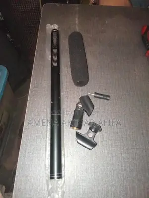 Microphone