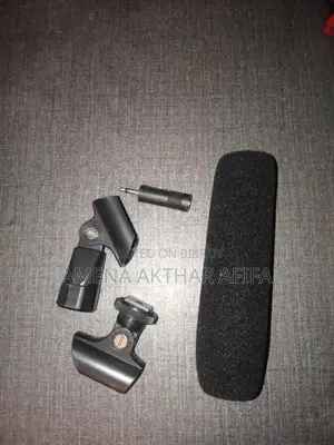 Microphone