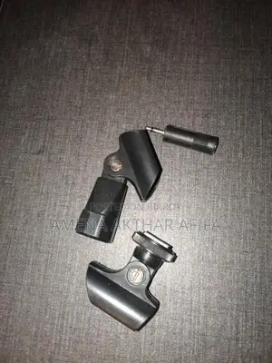 Microphone