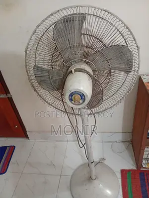 Stand Fan