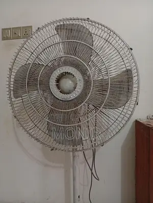 Stand Fan