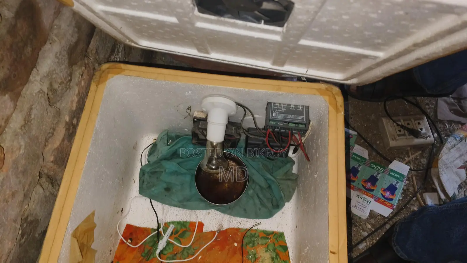 ইনকিউবেটর বিক্রয়