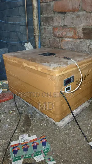 ইনকিউবেটর বিক্রয়