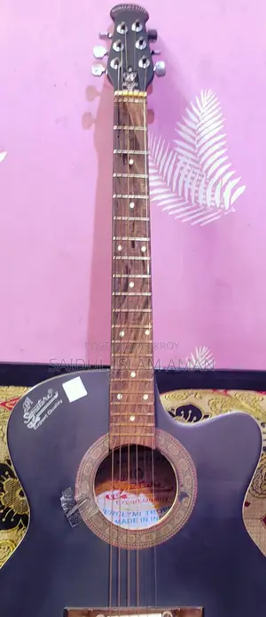 Signature Guitar