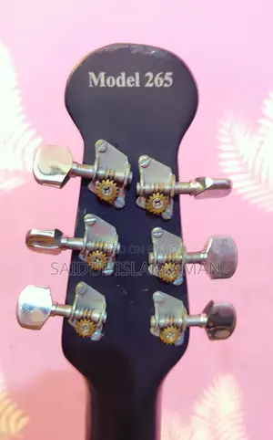 Signature Guitar