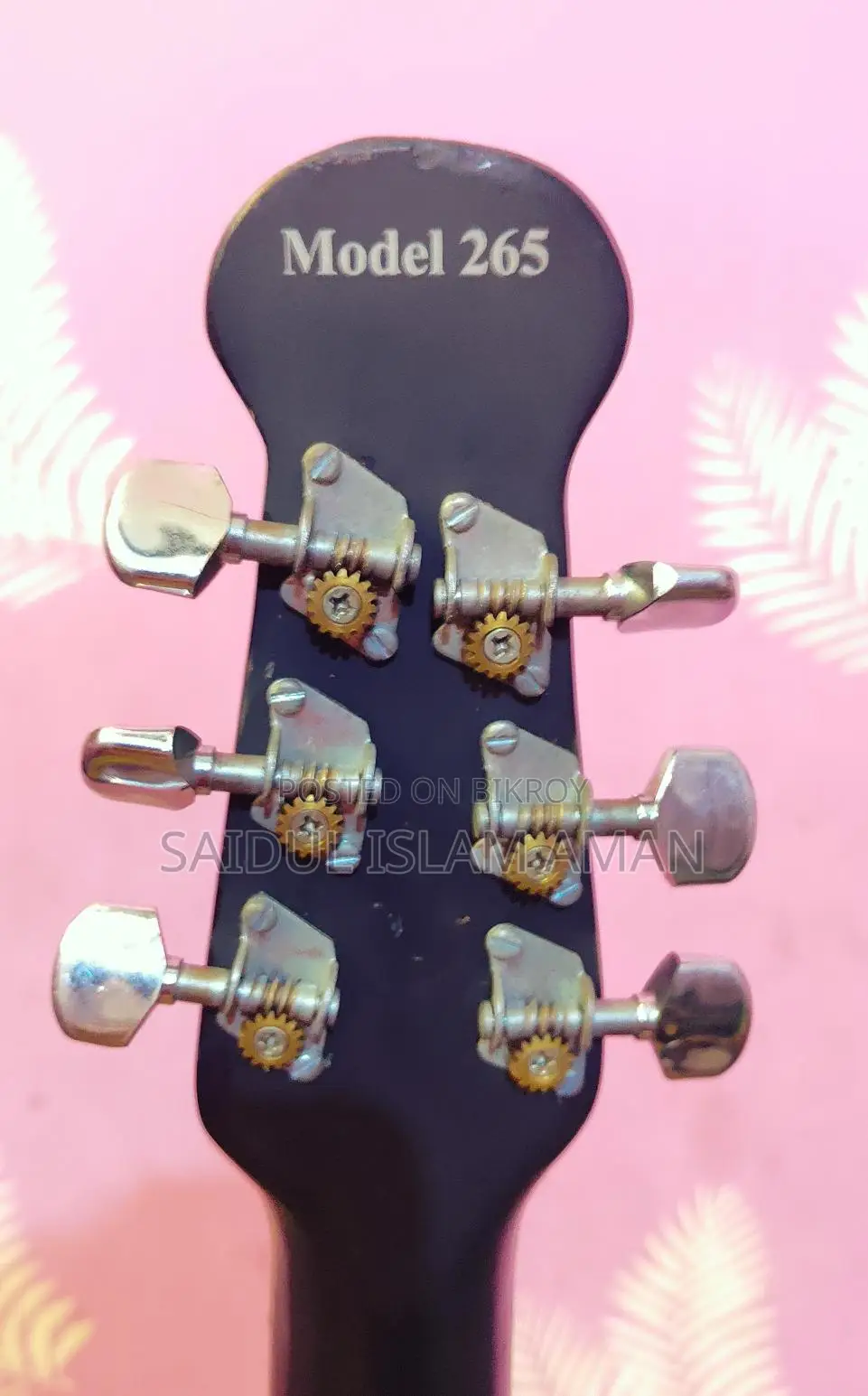 Signature Guitar