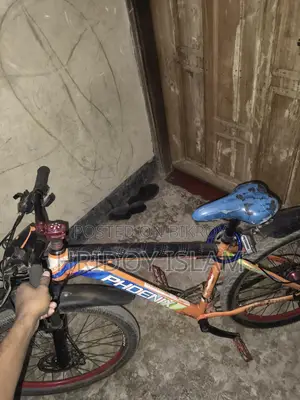 Phoenix Bicycle for Sale