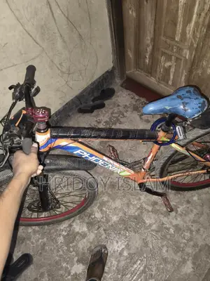 Phoenix Bicycle for Sale