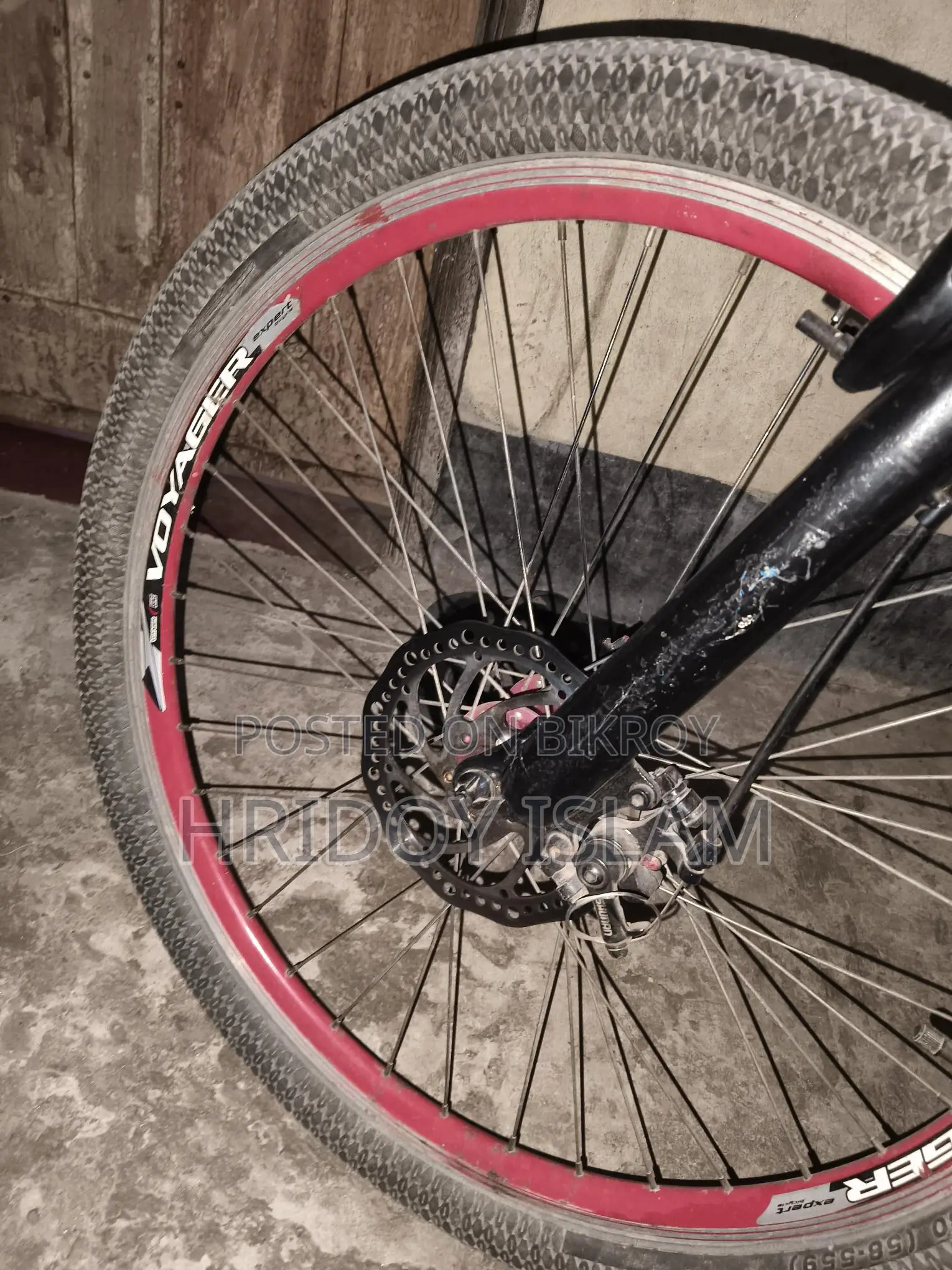 Phoenix Bicycle for Sale