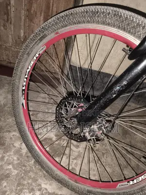Phoenix Bicycle for Sale