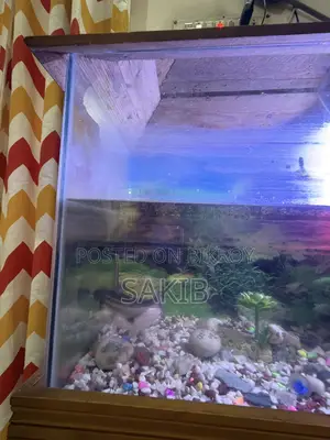 Aquarium with Fishes
