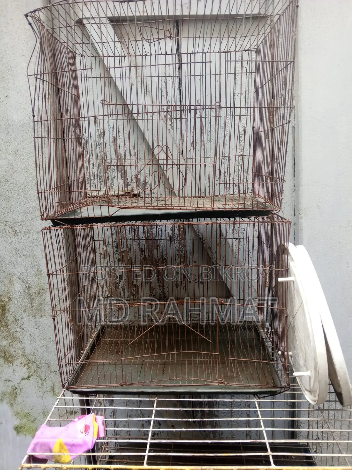 Pigeon Cage for Sale