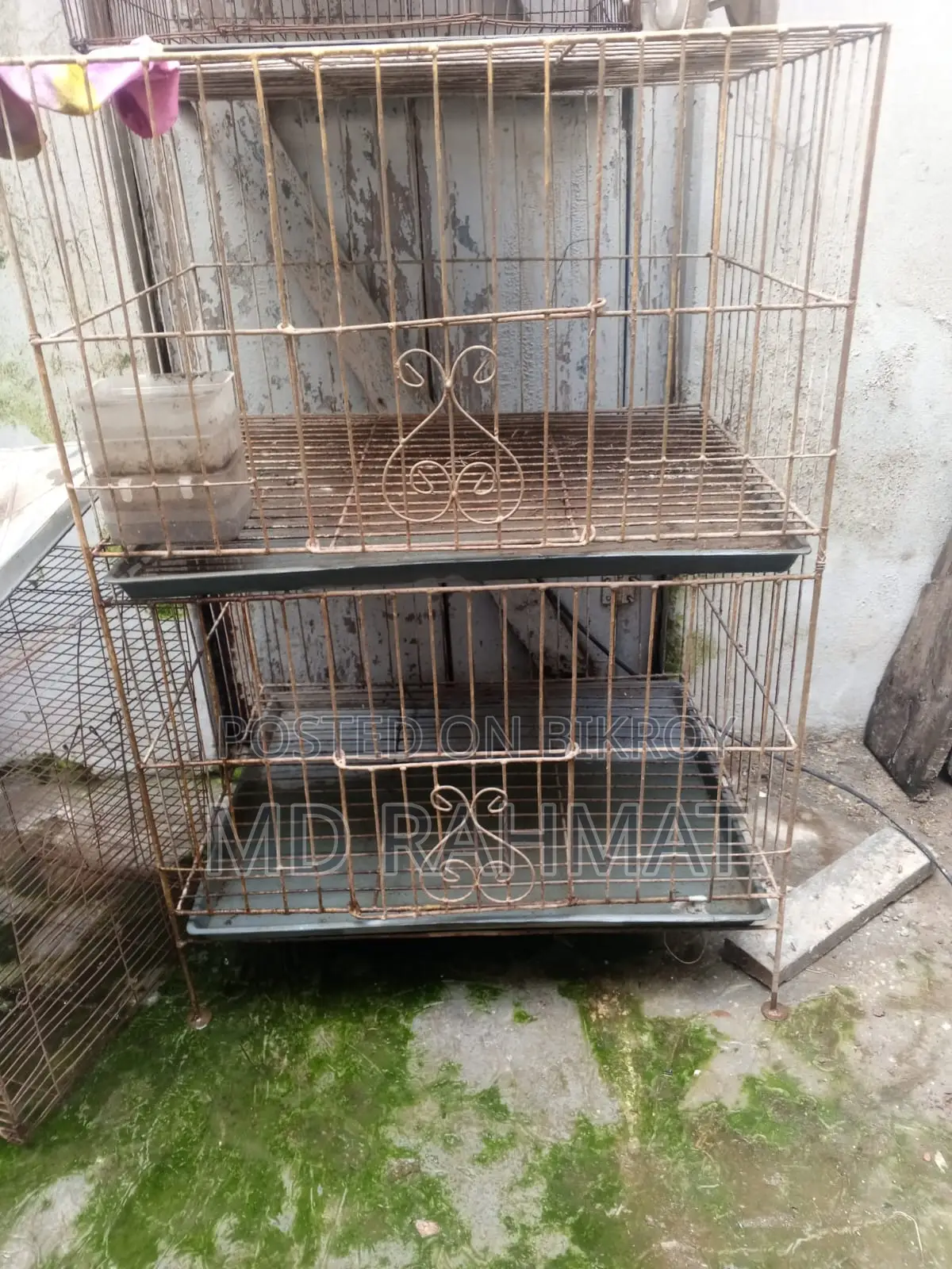 Pigeon Cage for Sale