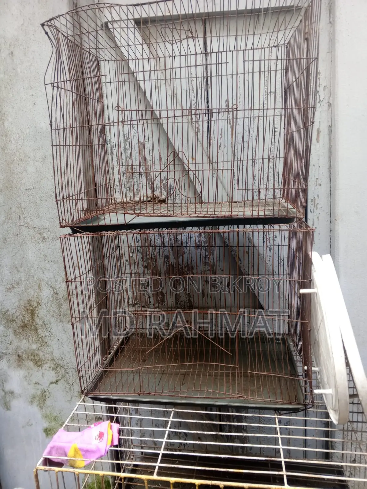 Pigeon Cage for Sale