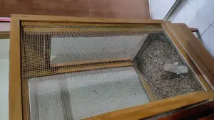 পাখির খাঁচা বিক্রি
