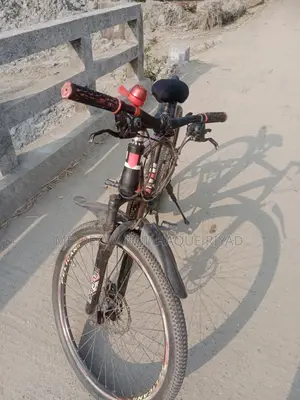 Pelican Bicycle for Sale