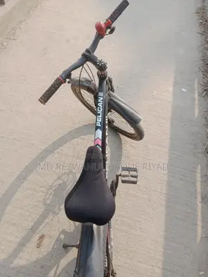 Pelican Bicycle for Sale