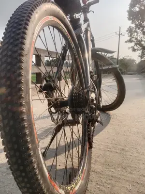 Pelican Bicycle for Sale