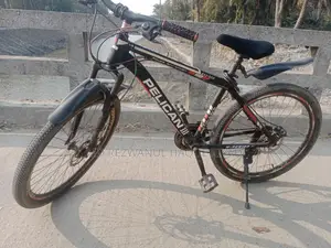Pelican Bicycle for Sale