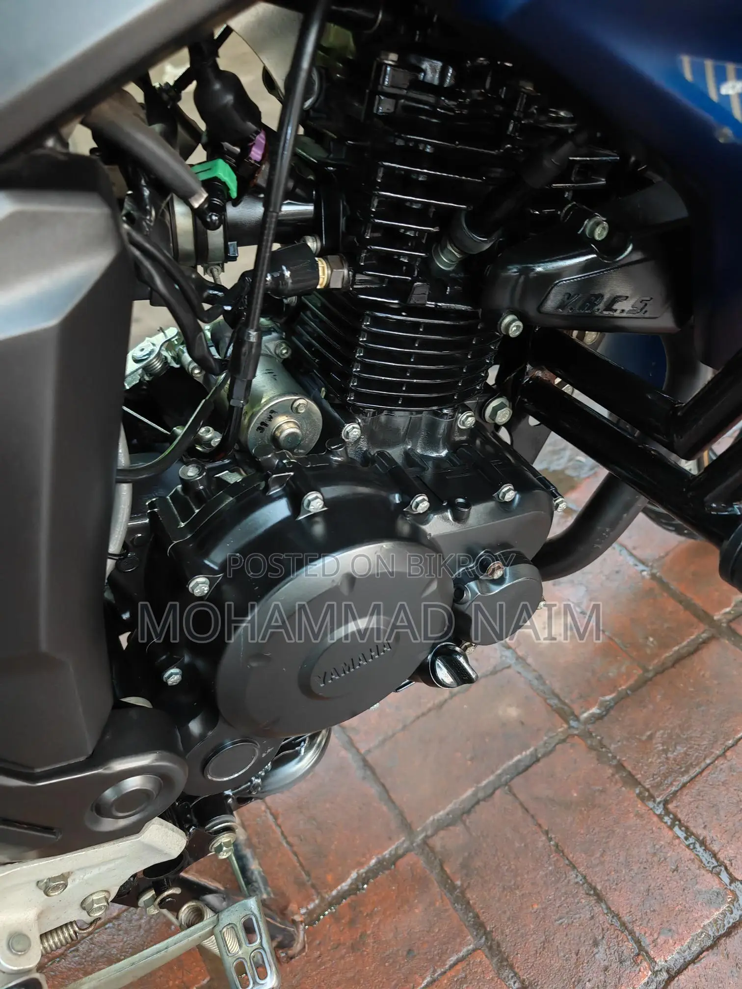 Yamaha FZs V2 2023