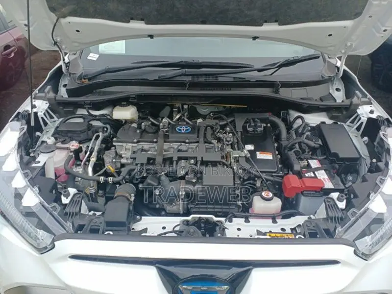 Toyota Corolla Cross 2021 Pearl